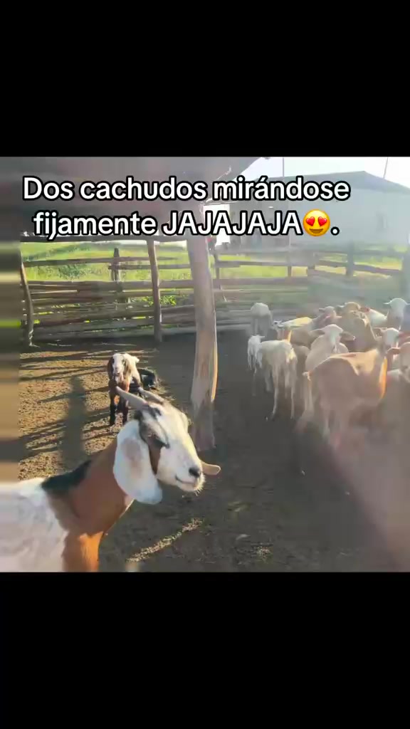 @Lili❣️