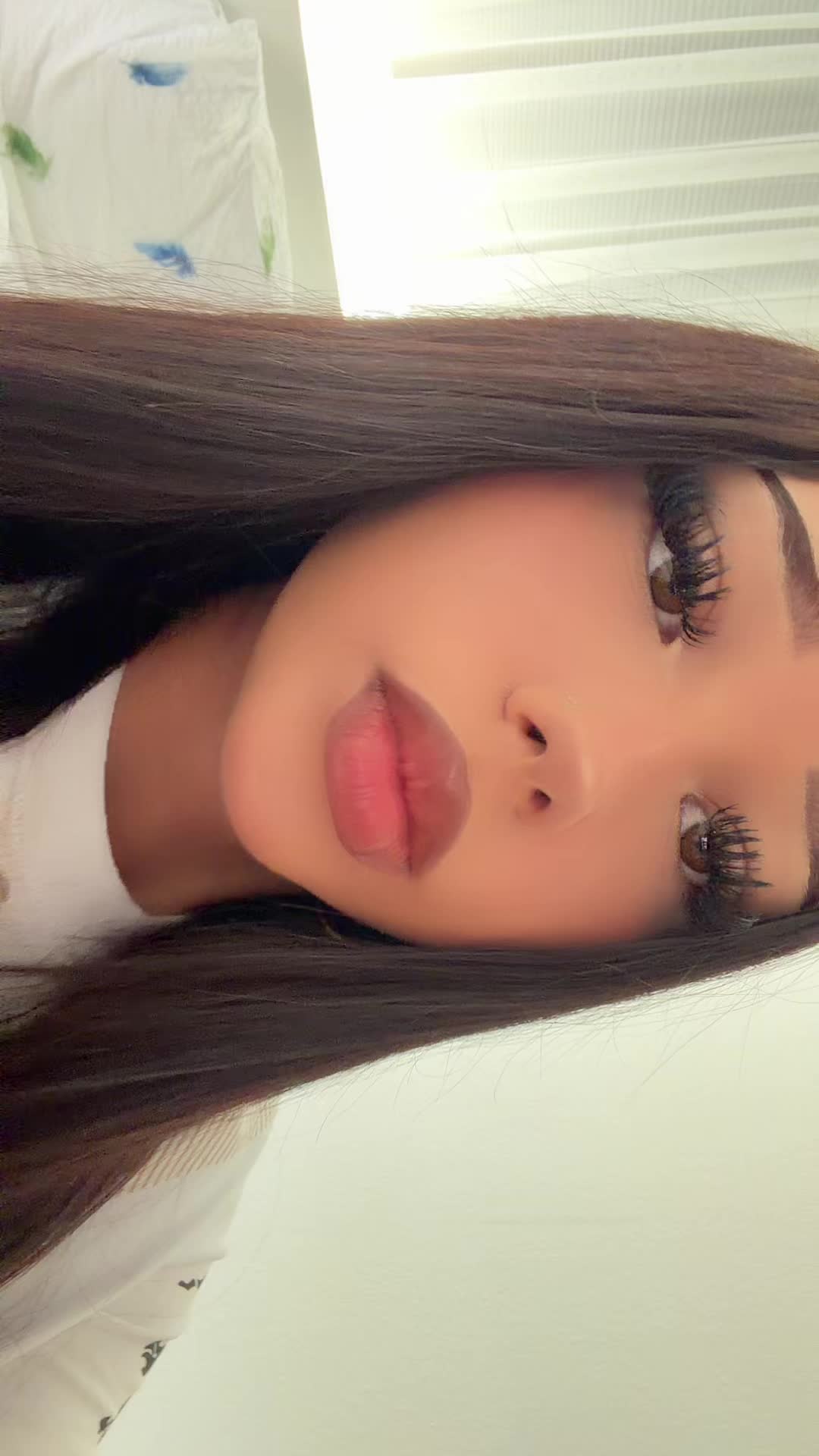 @🦈