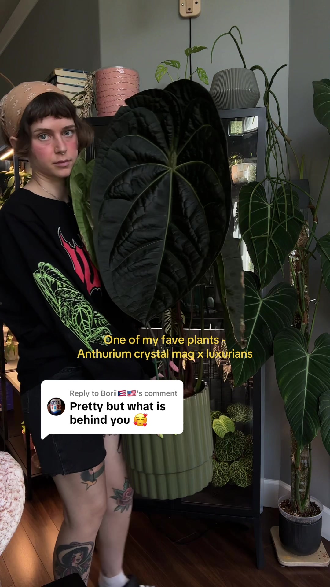 @wildfern
