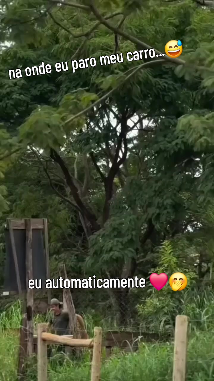 @༒CK༒
