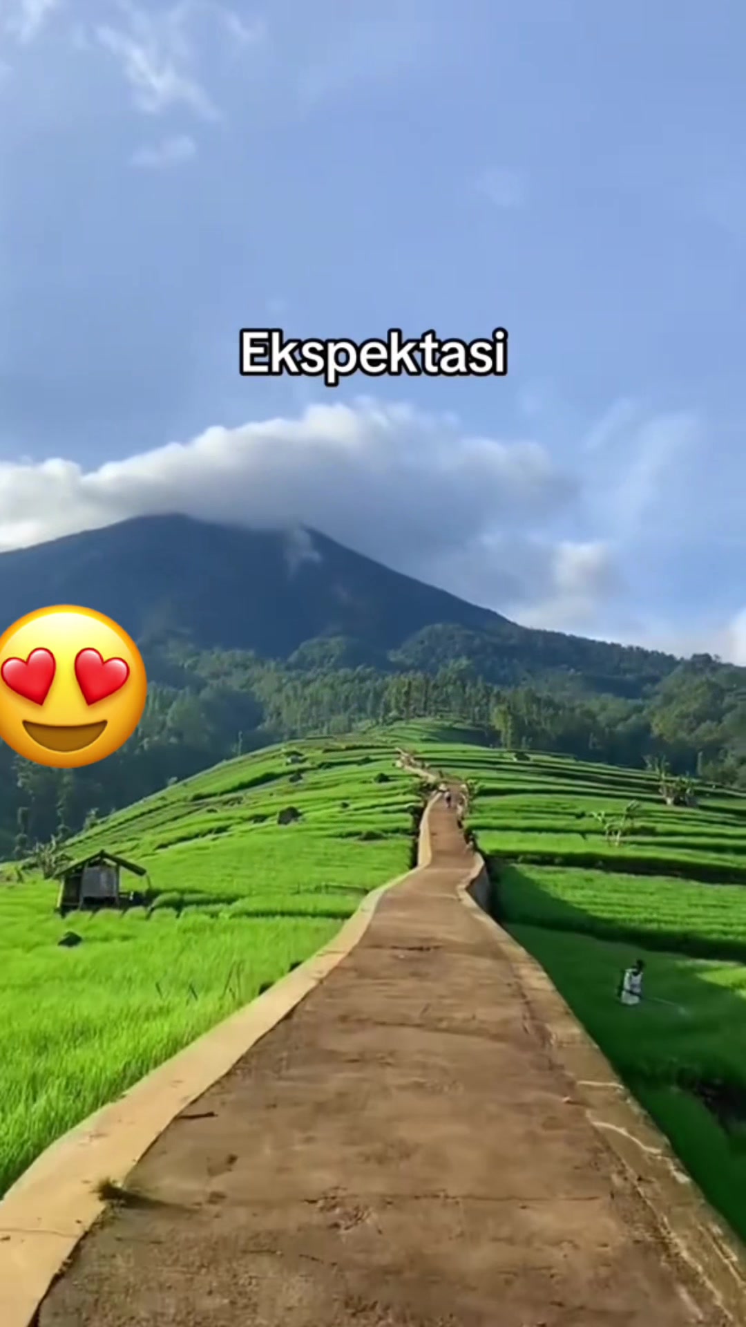 @๐๐ซ๐๐ฃ ๐๐ฅ