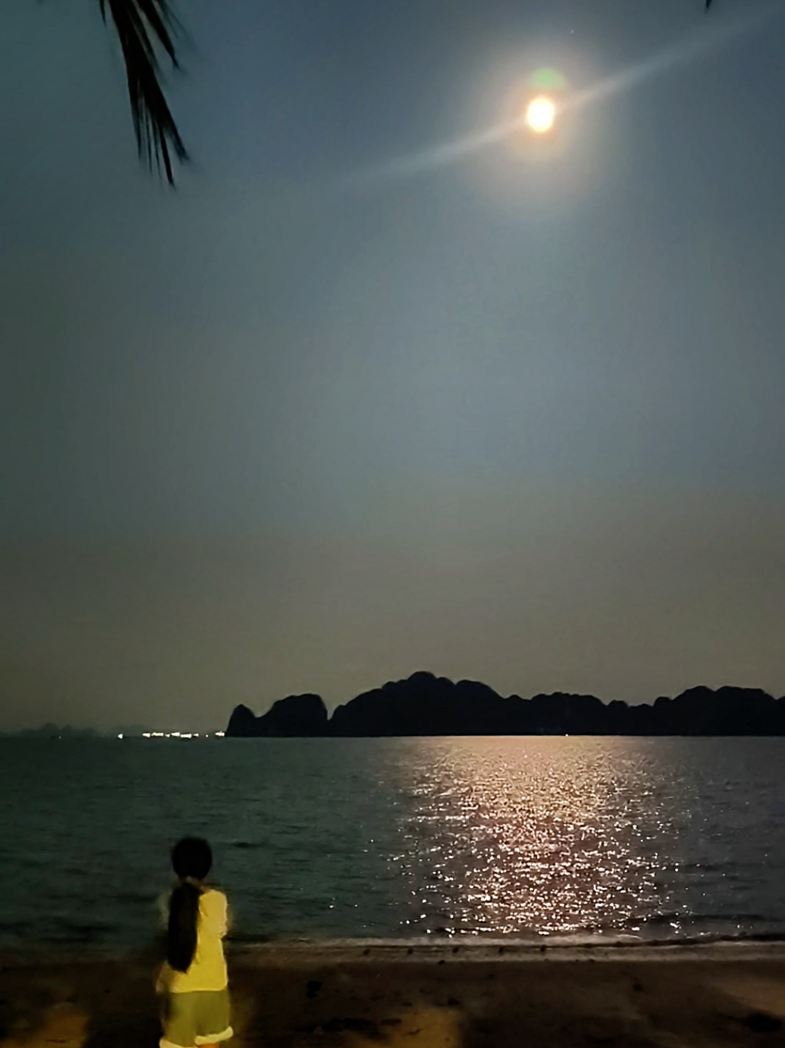 @Dũng Chuối
