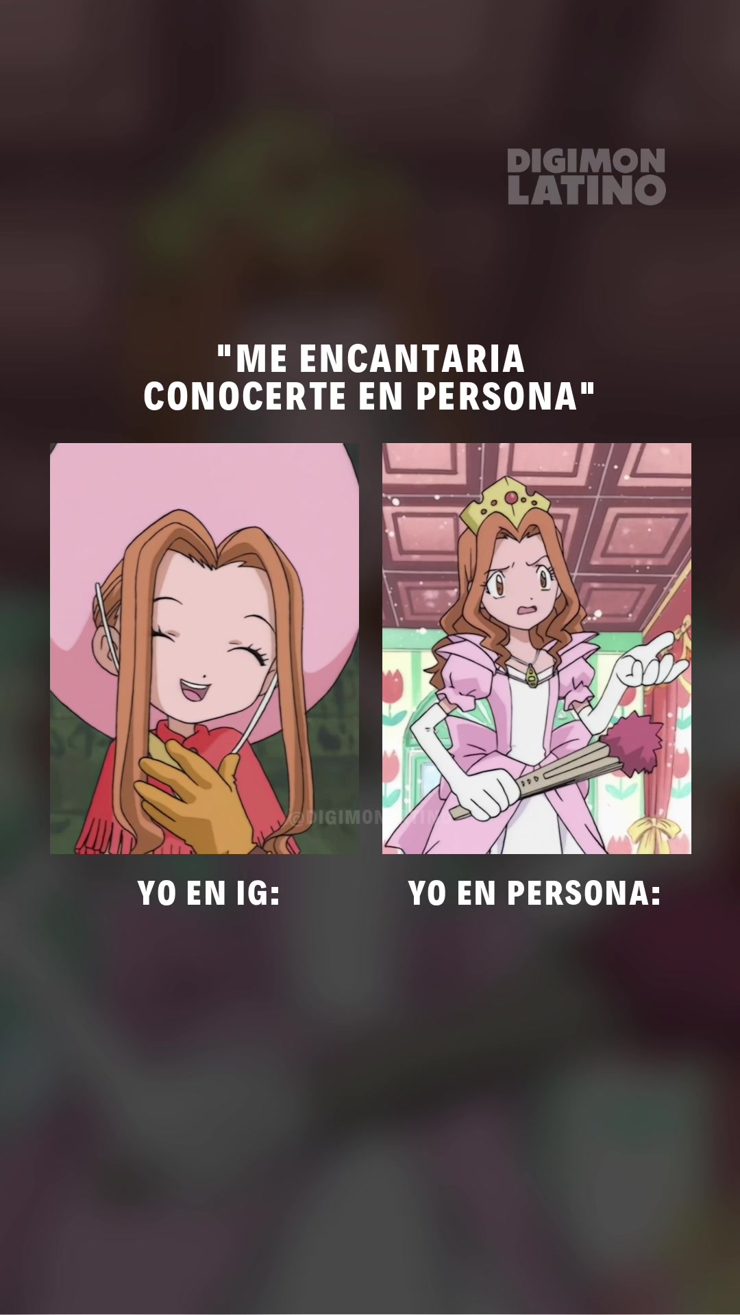 @Digimon Latino