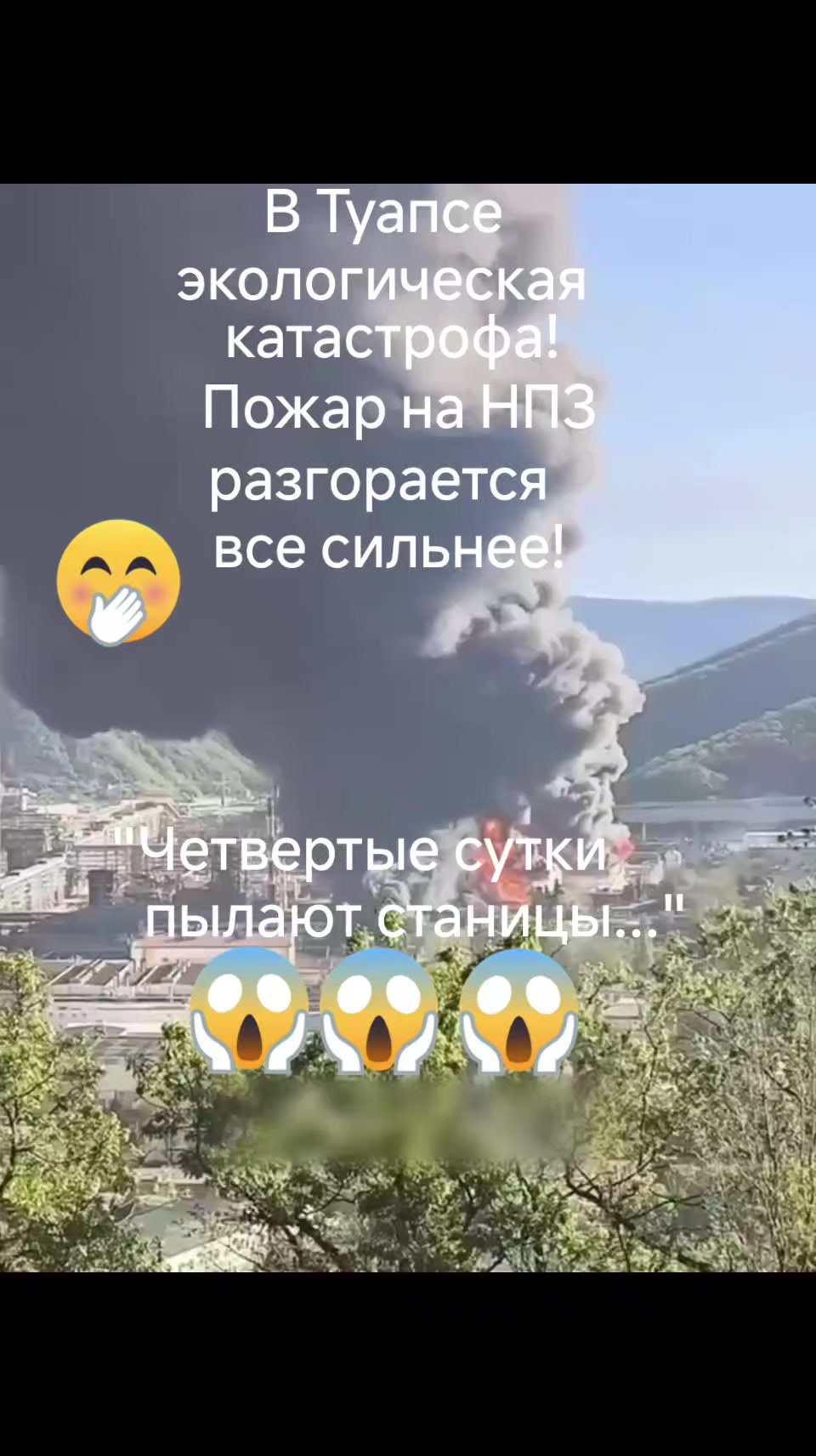 @haliina5