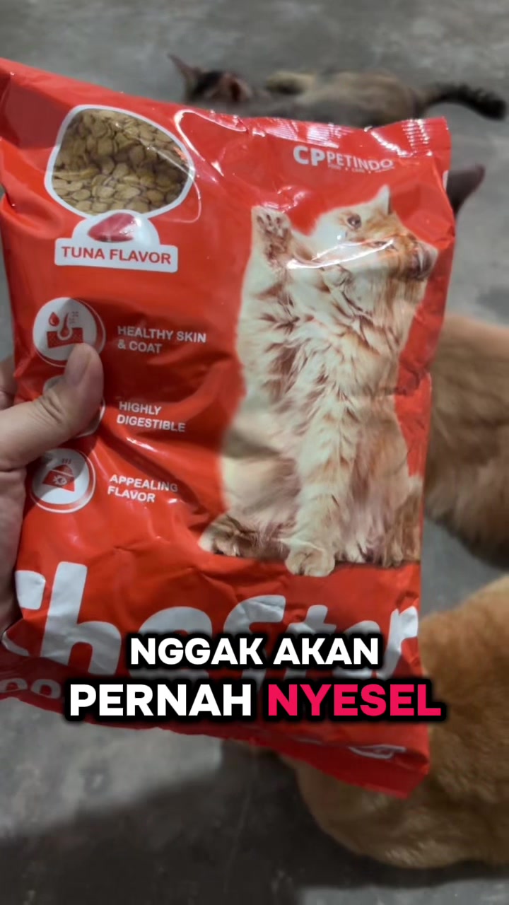 @BUMI ANABUL😺