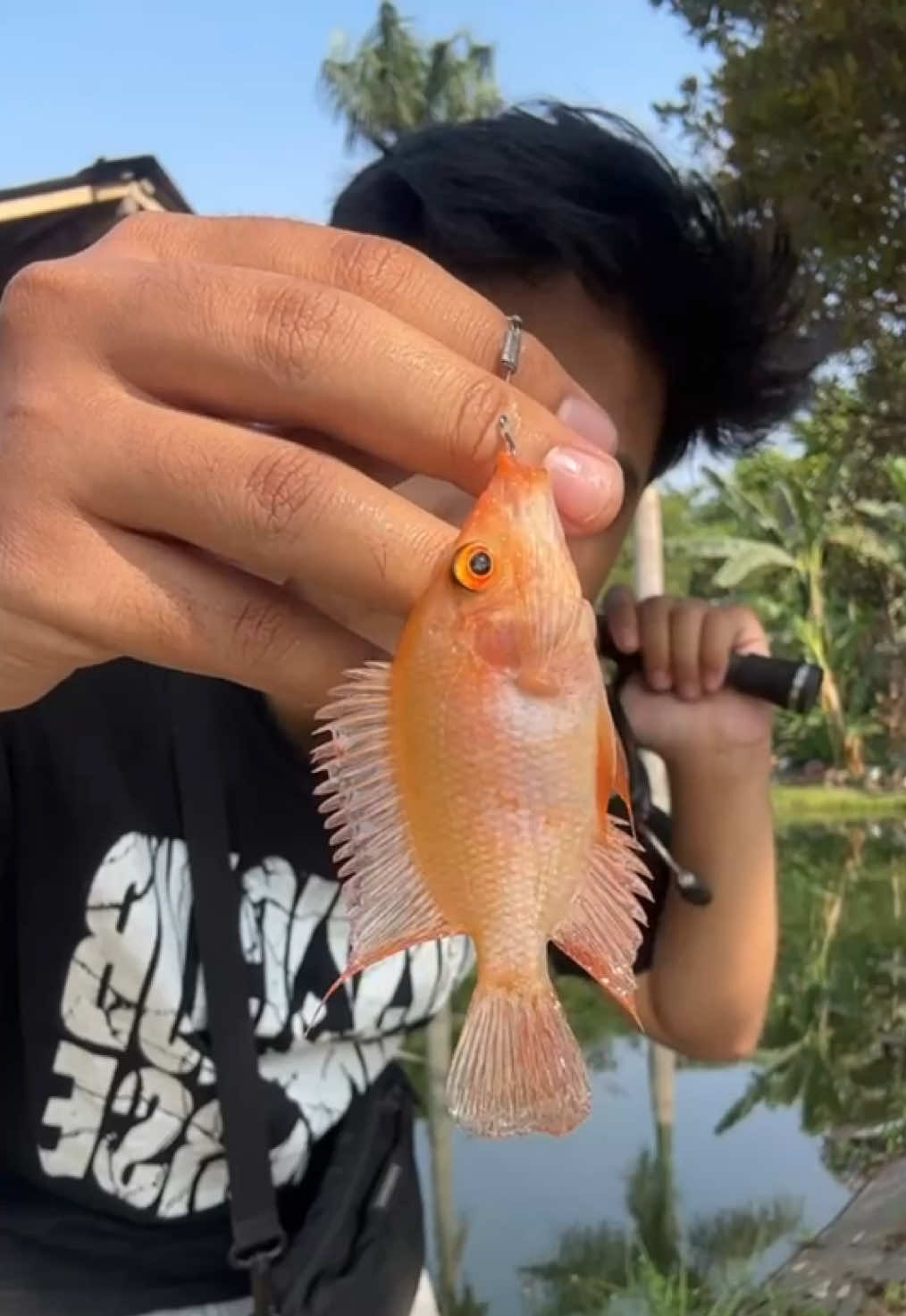 @Andalan Mancing