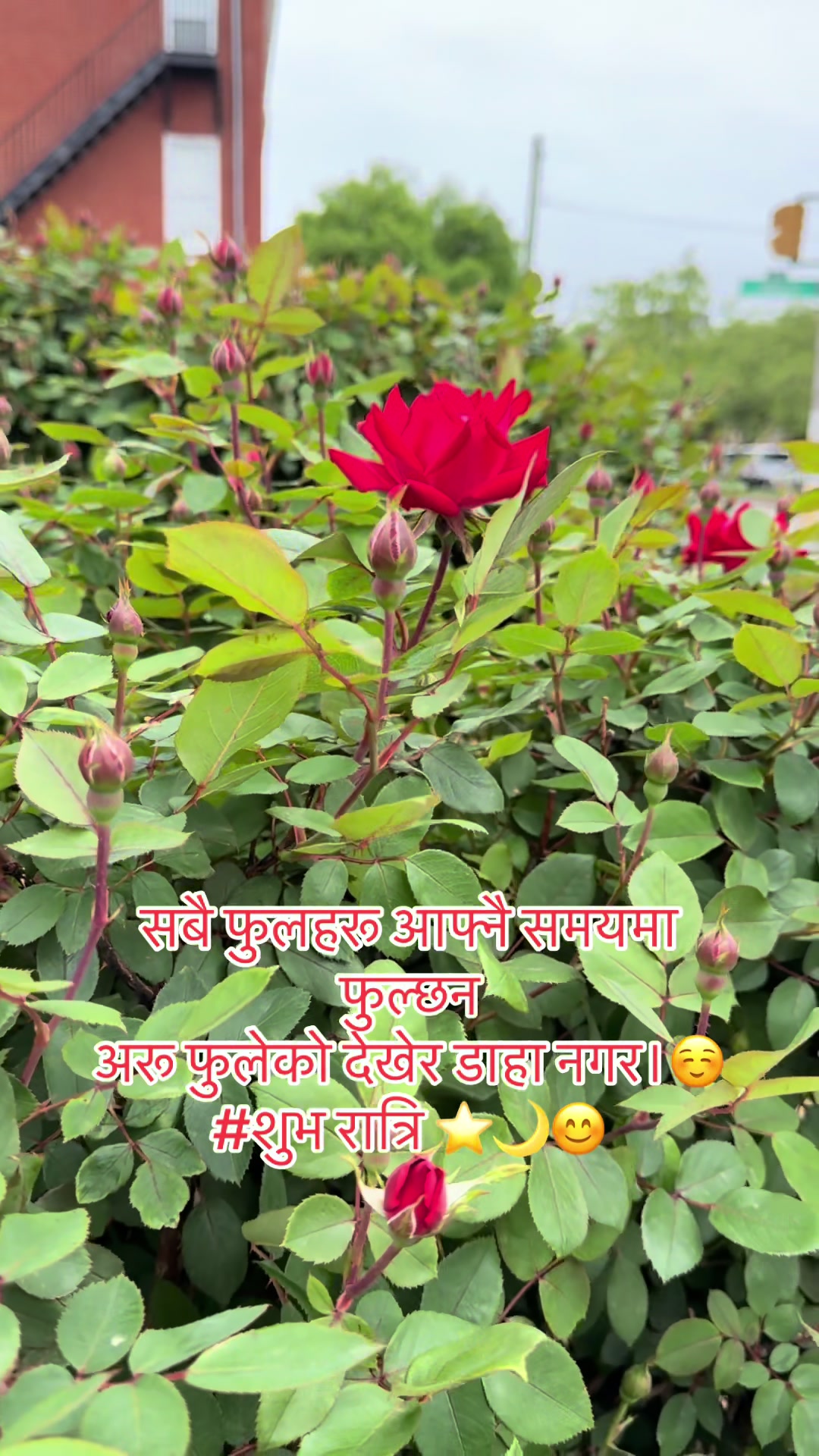 @❤️Pokharel5binod