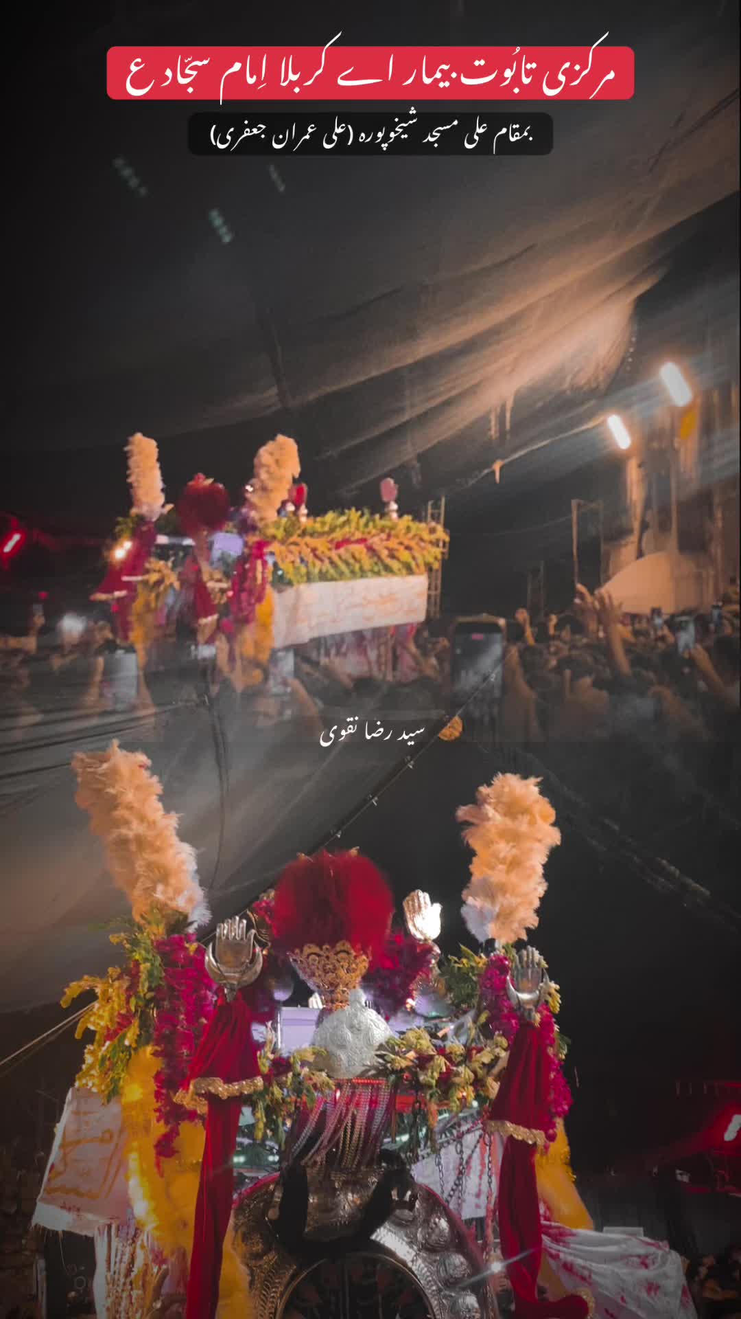 @سید رضا نقوی👑