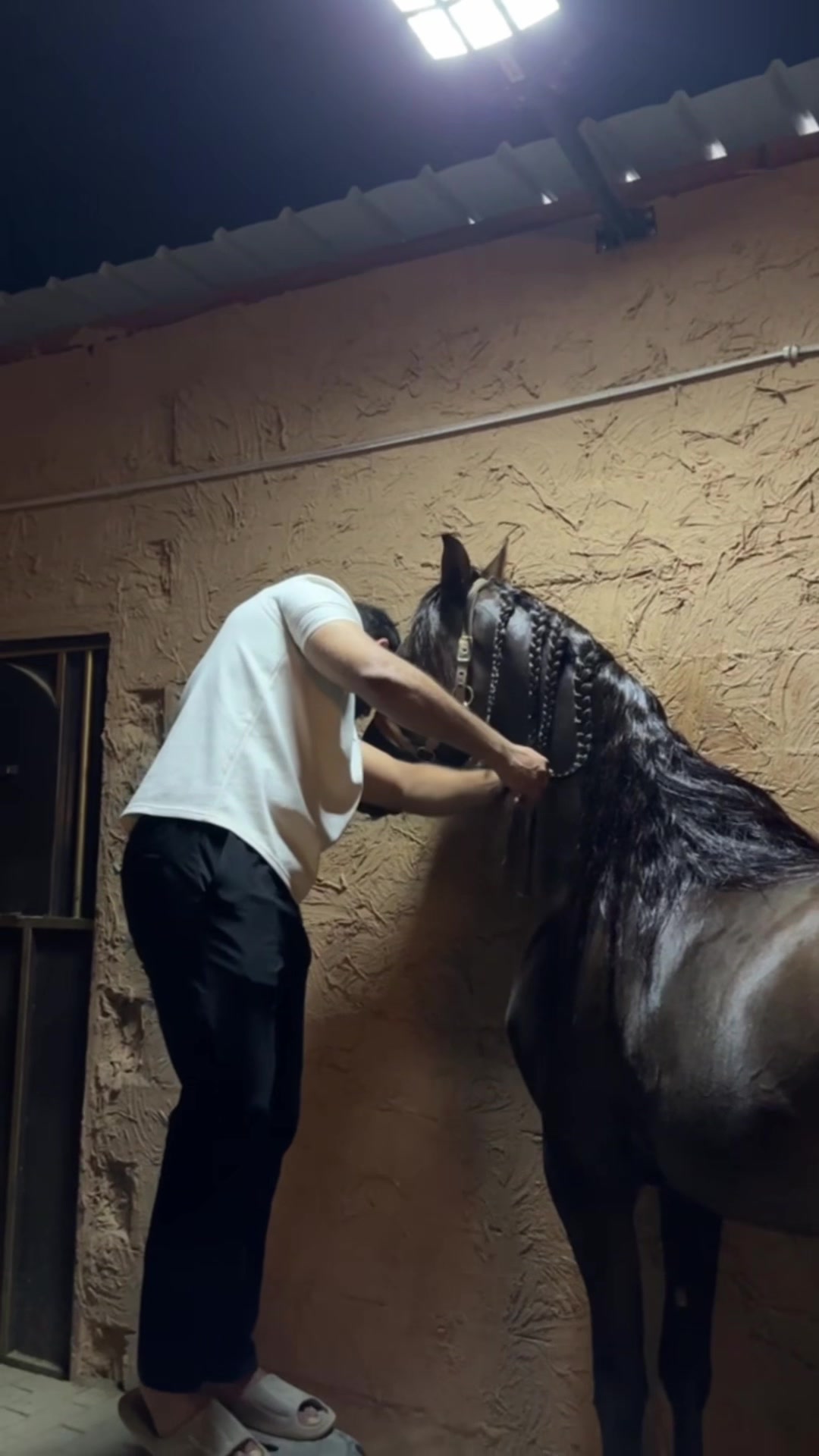 @بـاسـل الـوادعـي⭐️🐎