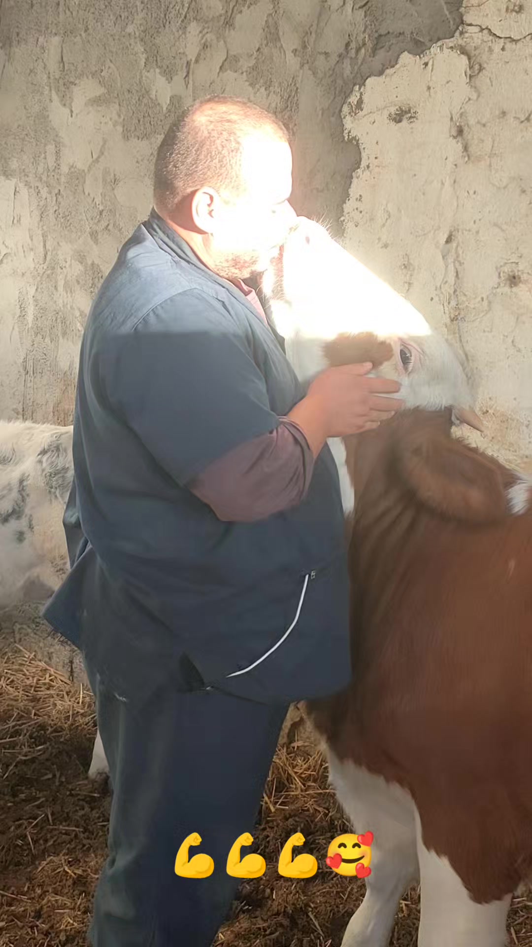 @طبيب بيطري و أفتخر