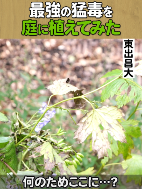 @東出昌大