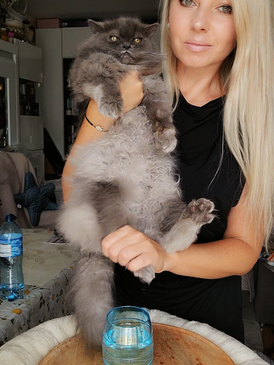 @😻Ekipa Świrka 😻