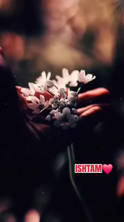 @⭕☭⃞𝕤𝕒𝕘𝕒𝕧ℕ𝕚𝕤𝕤𝕦🚩⭕