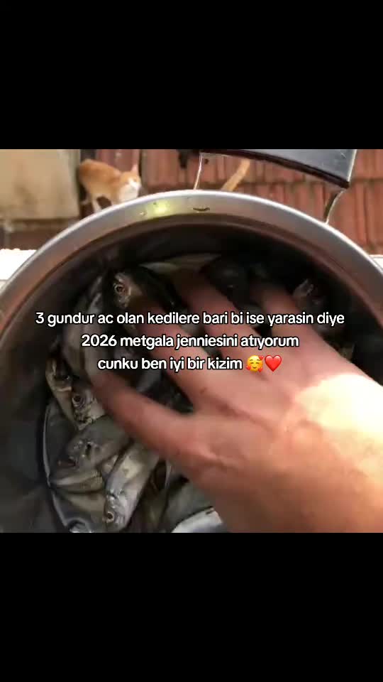 @𓆈