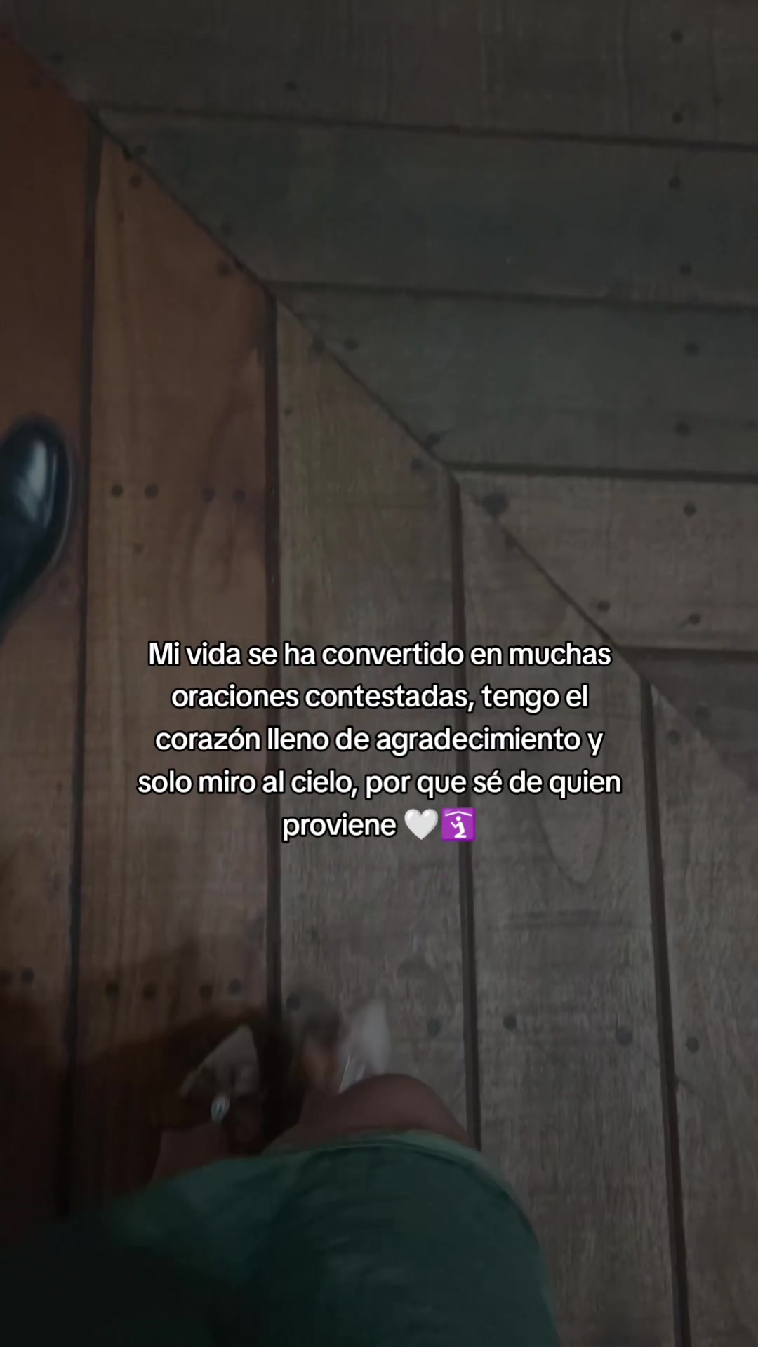 @Liliana Menoscal