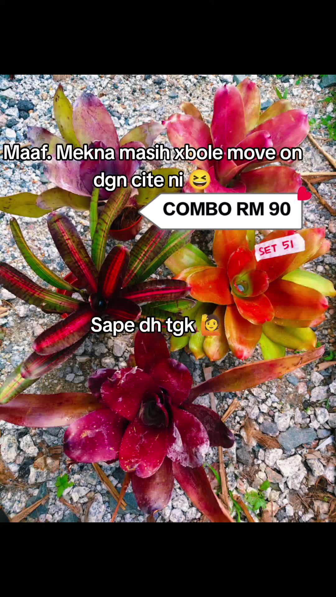 @MEKNA Garden