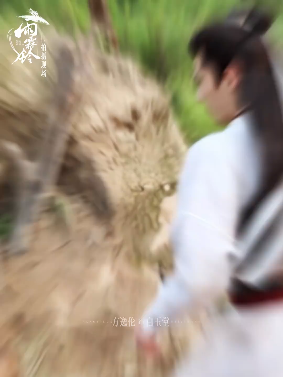 @Zhan Zhao Adventures