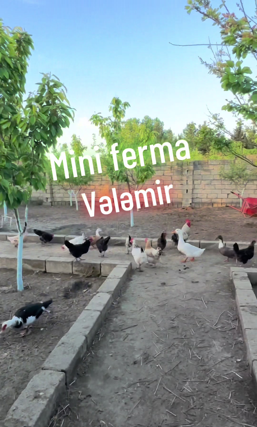 @NABRAN_EMLAK_TURİZM