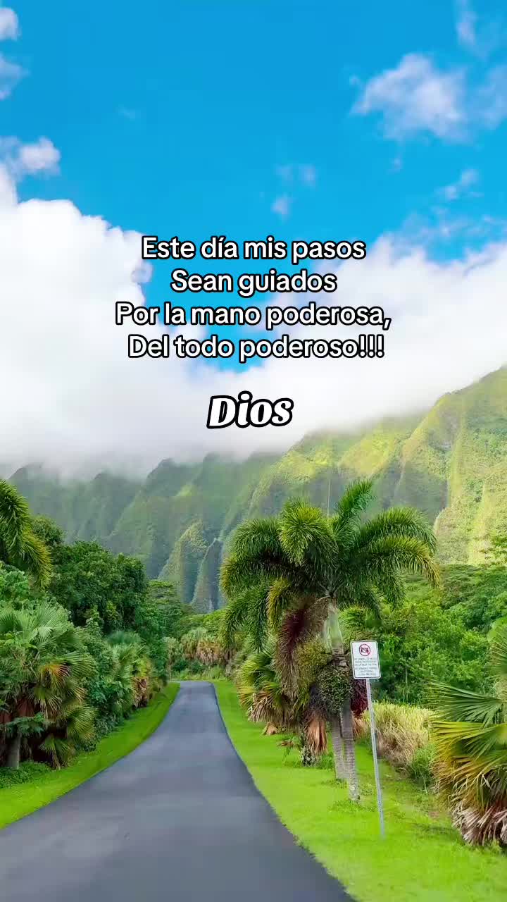 @rebeca10