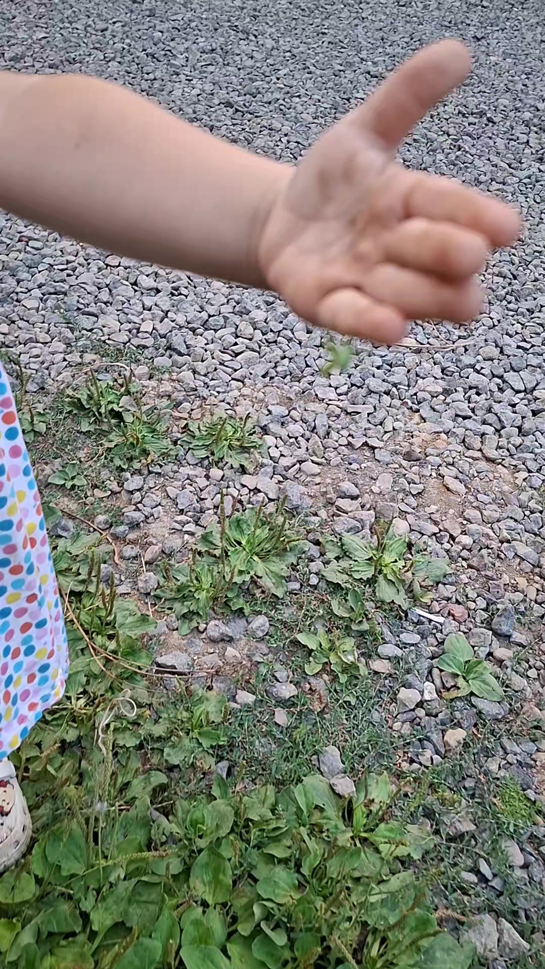@hər günümüzə şükür