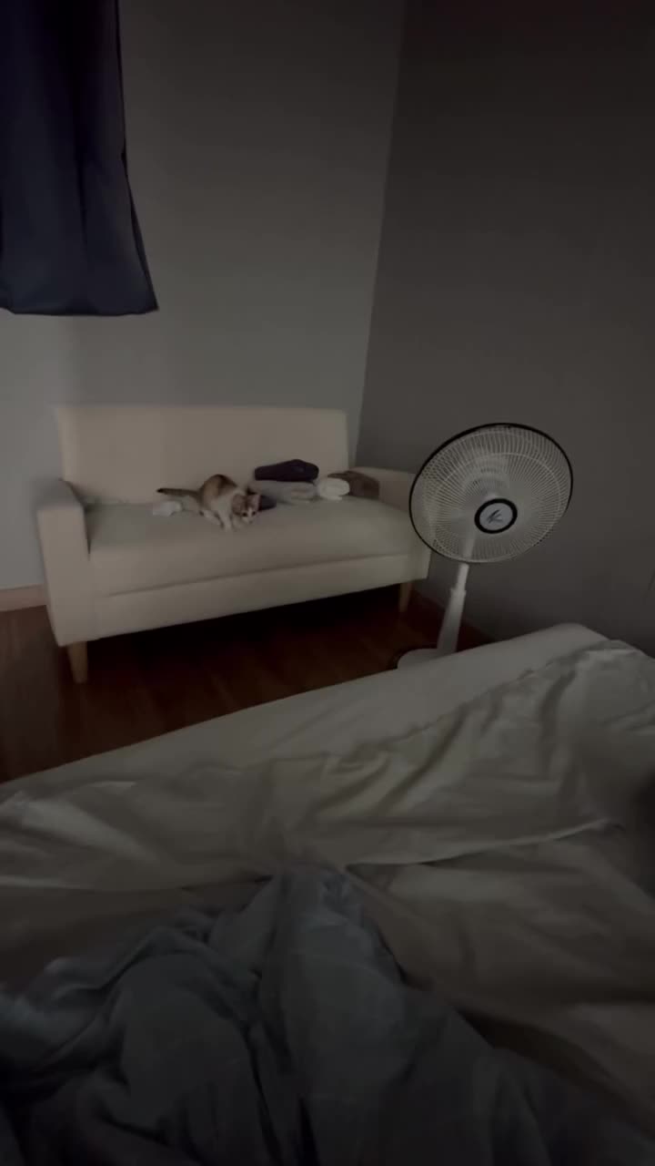 @kimgyver2024