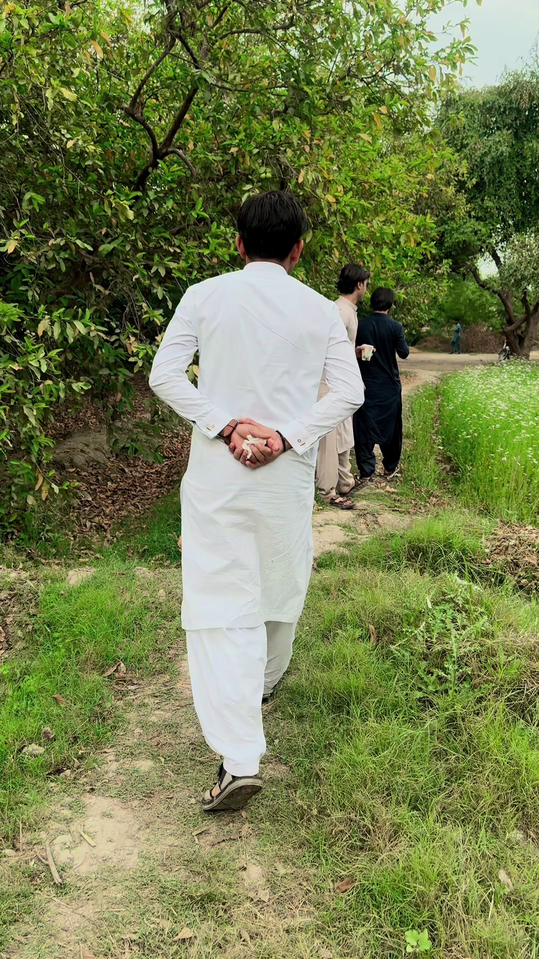 @Janu baba2