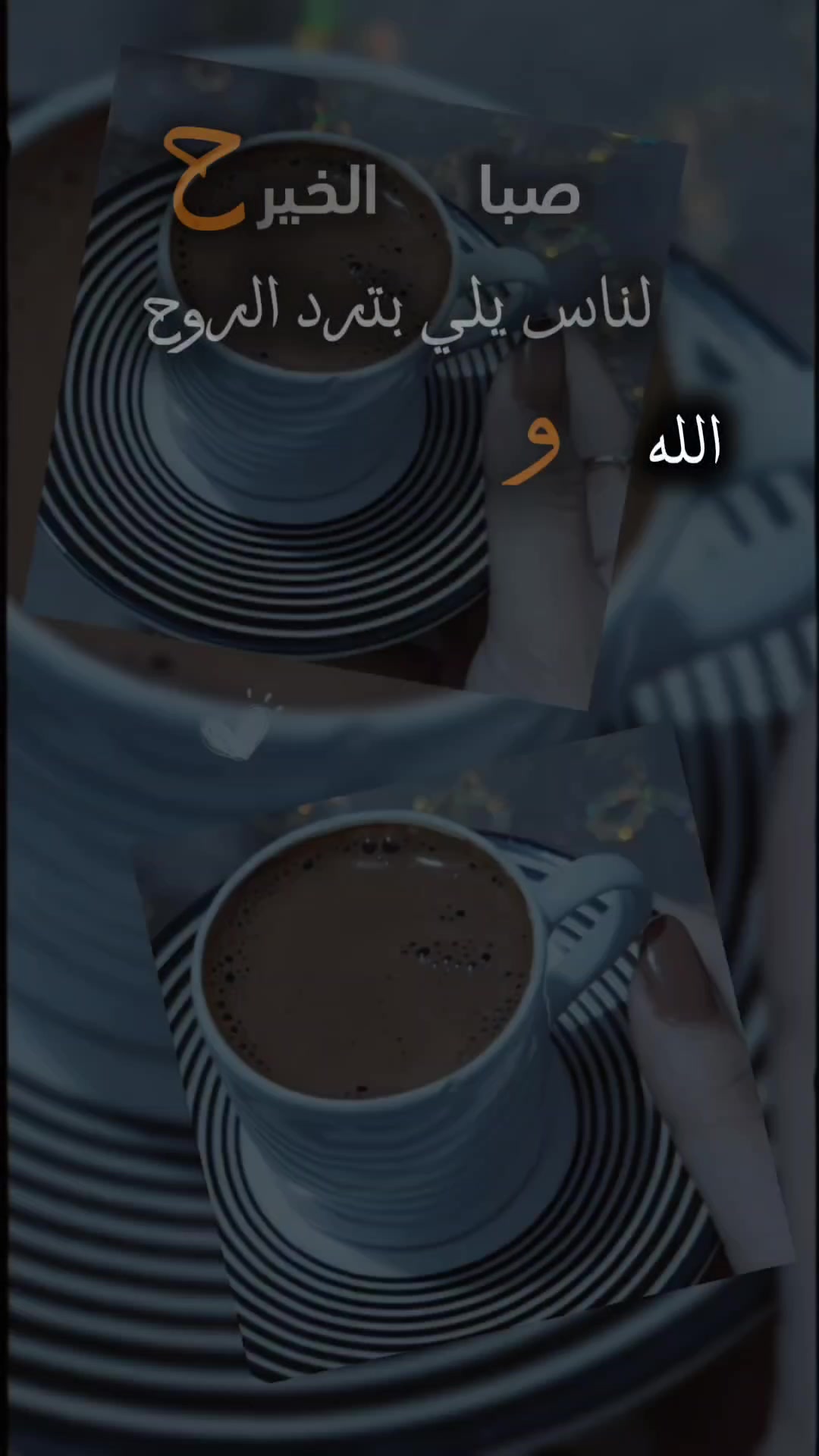 @alestora_reem_