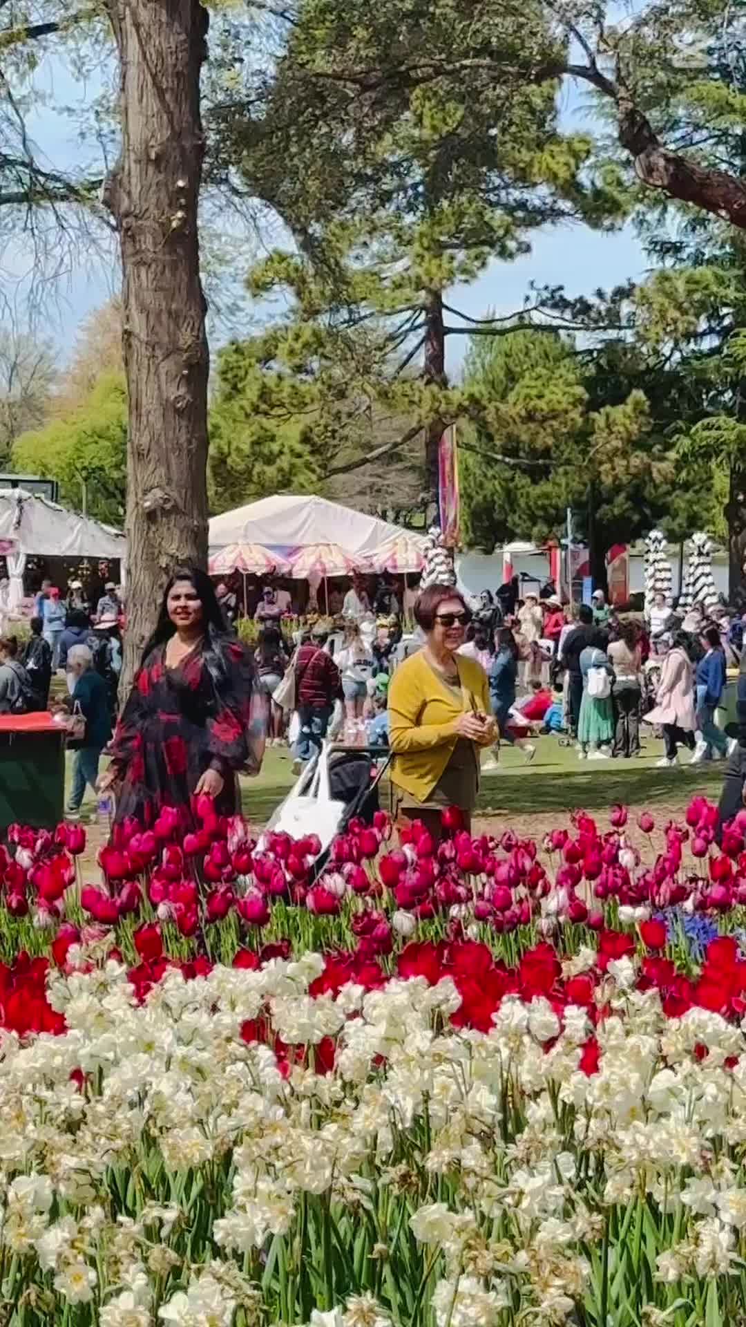 @Shamith_Neha💎