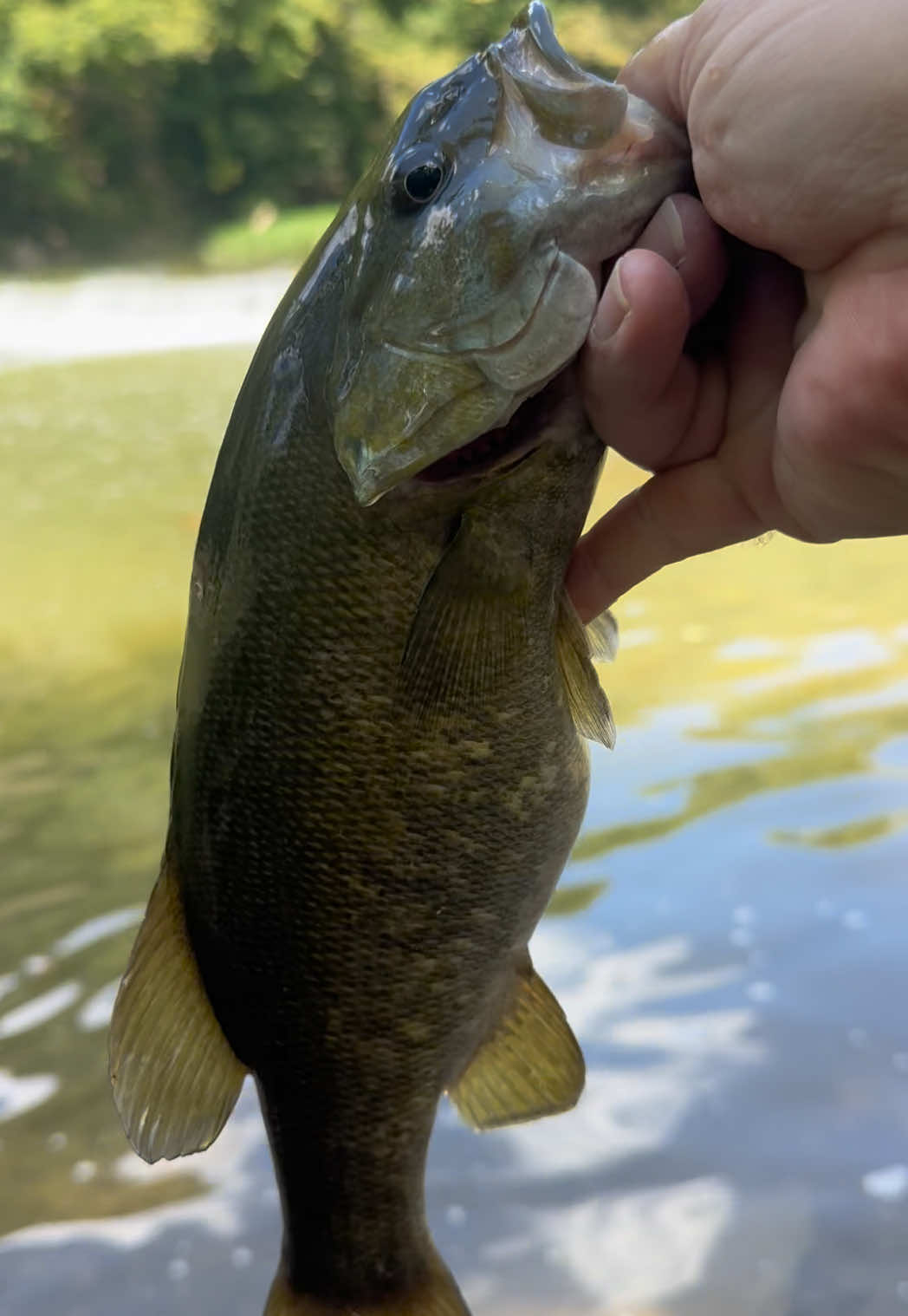 @Kentucky&ensp;Fishing