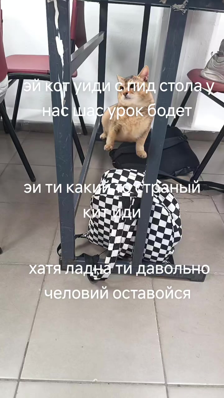 @lera