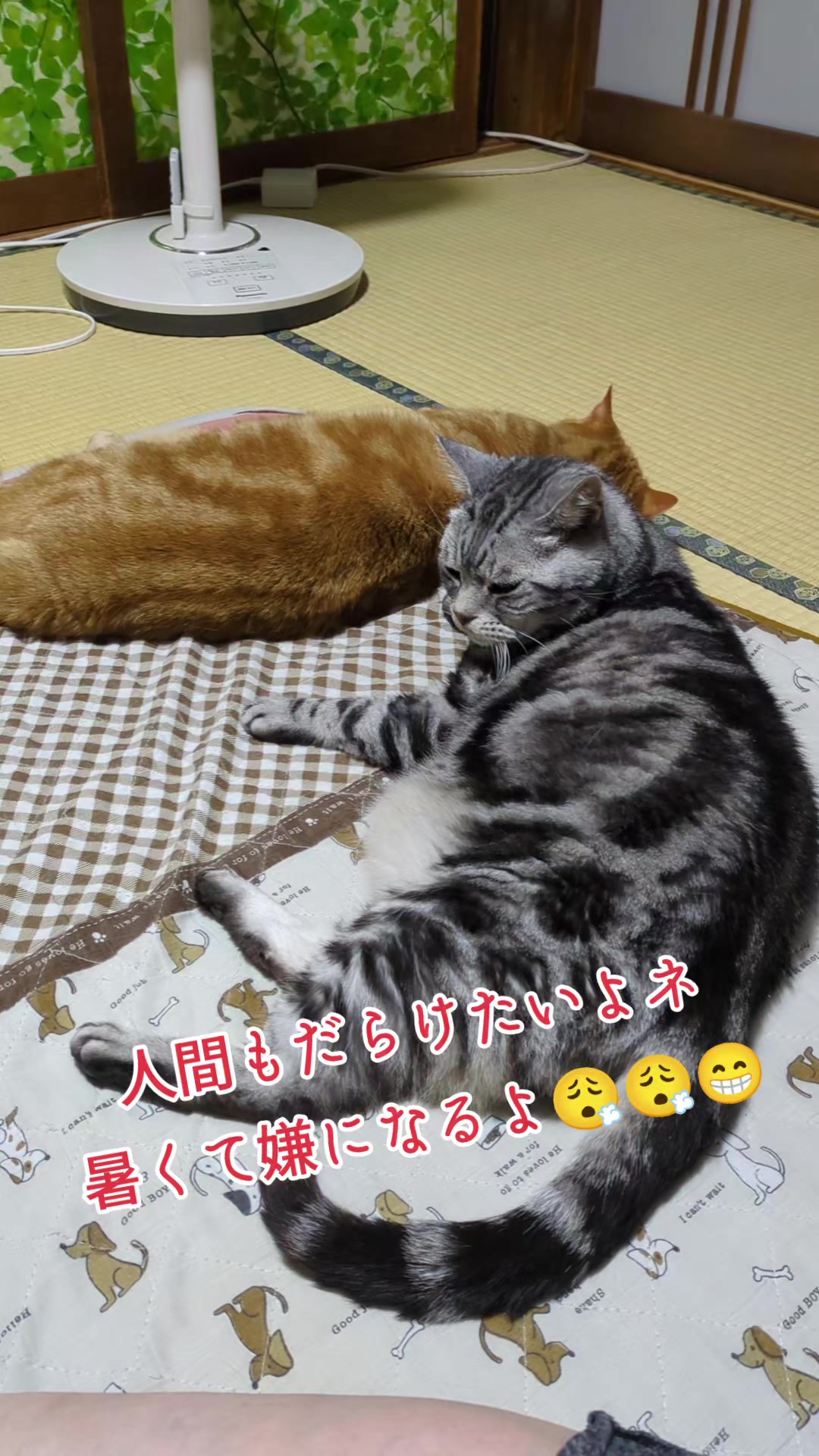 @JUNjun
