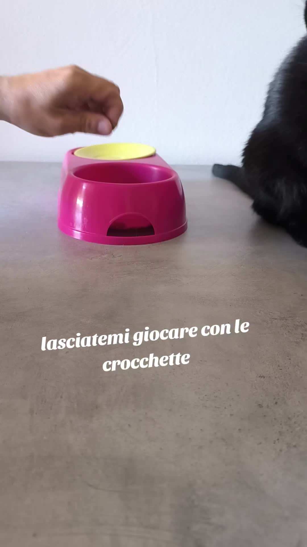 @Pina