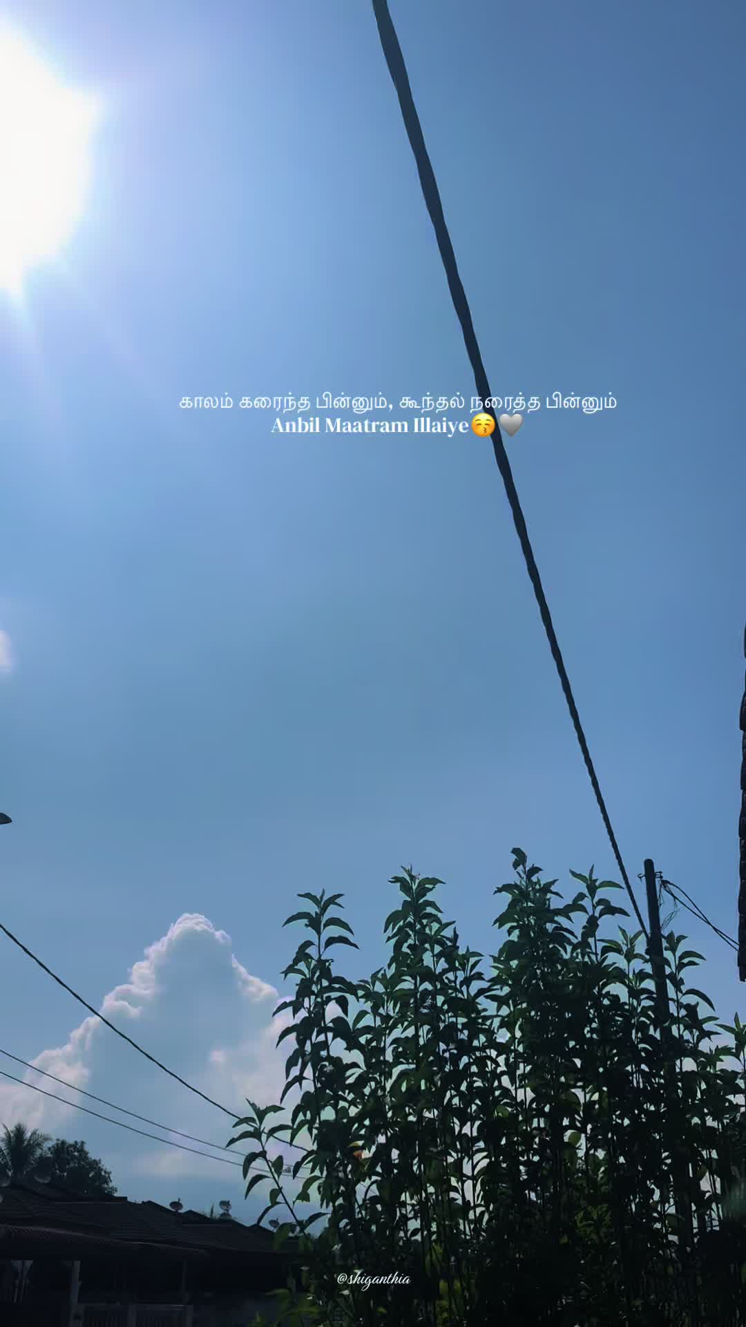 @𝓢 | 11 🎀