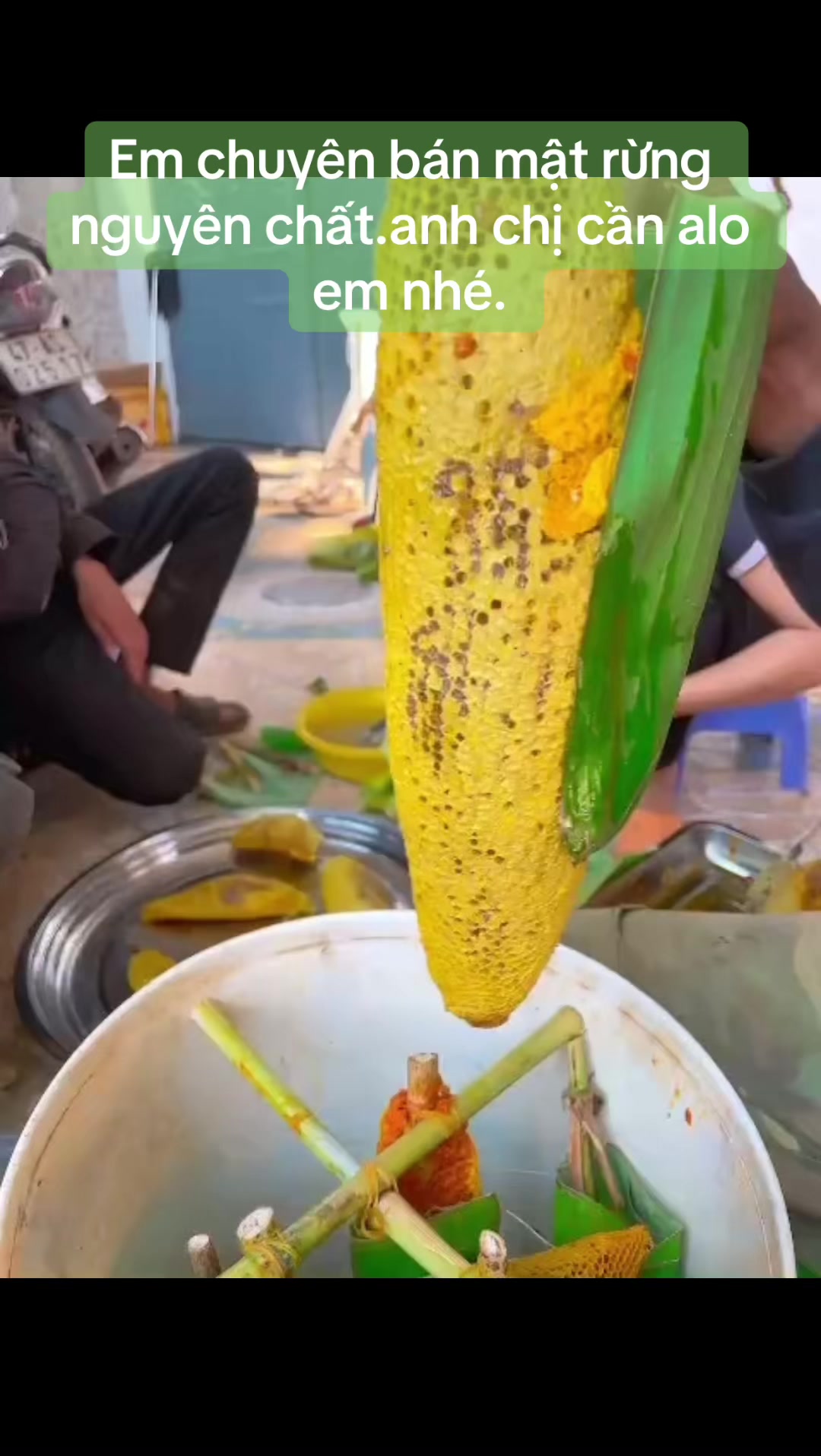 @Mật rừng Tây nguyên Đaklak