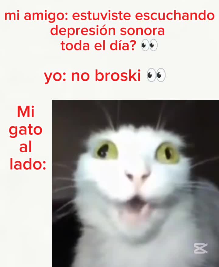 @LadrilloZZZ