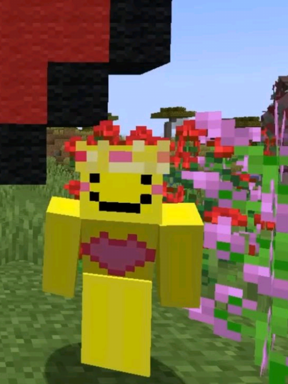 @𓏴𓏴 𝓢ʜᴇʟʙʏ 𓏼 ໒꒱ིྀ