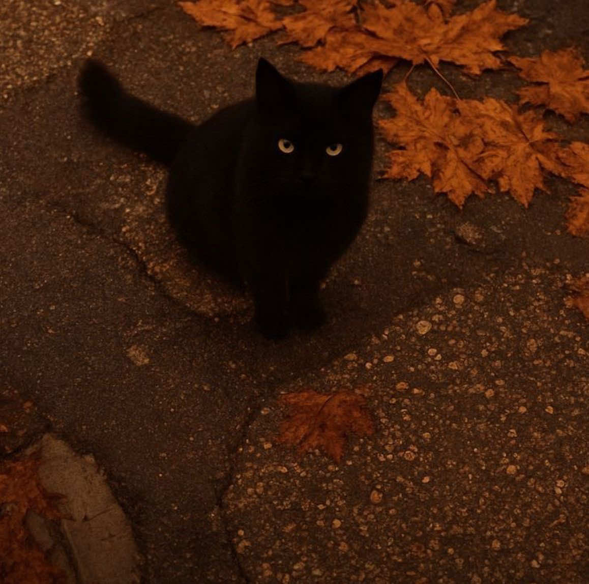 @: