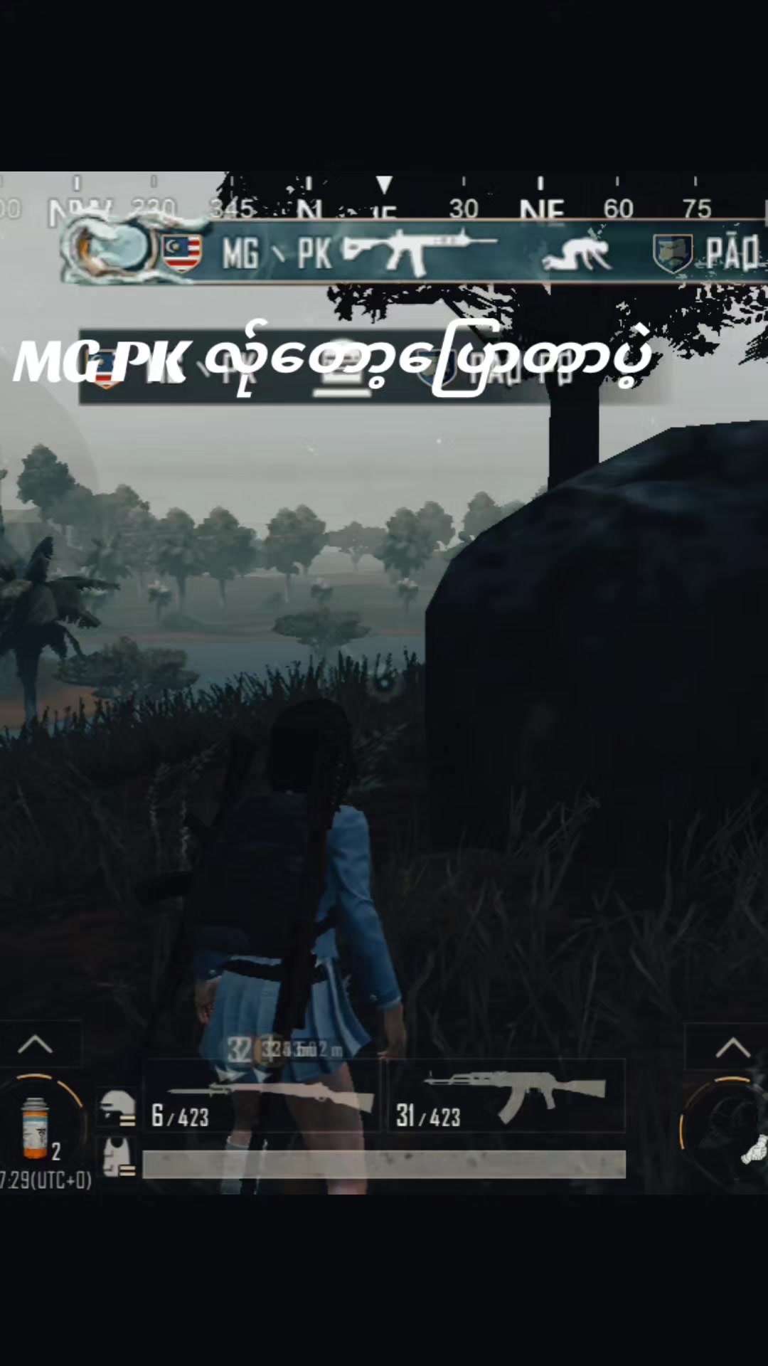 @PannyWise523090