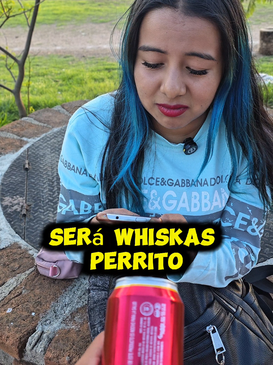 @nikki palestino