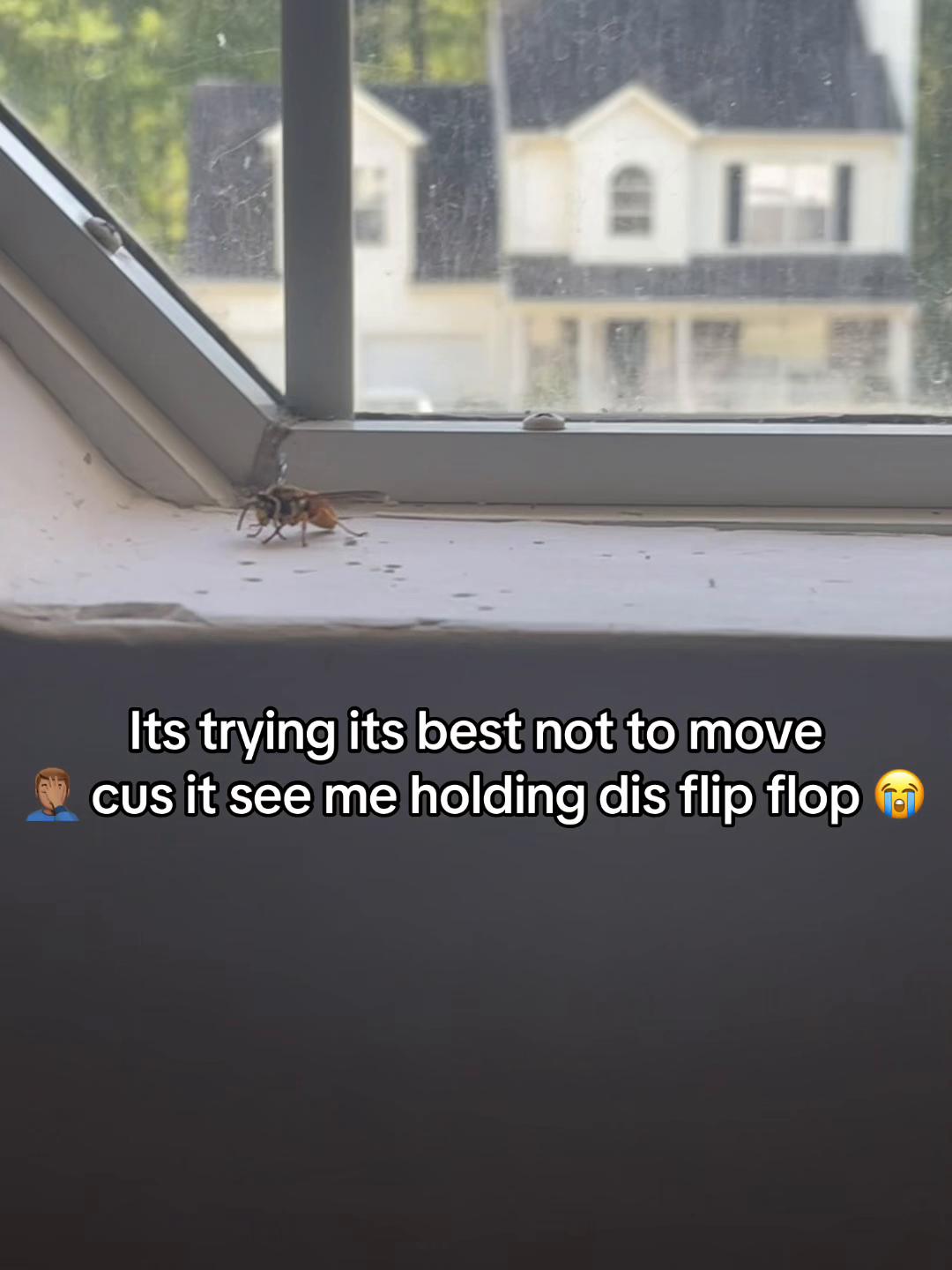 @Cayy Cayy