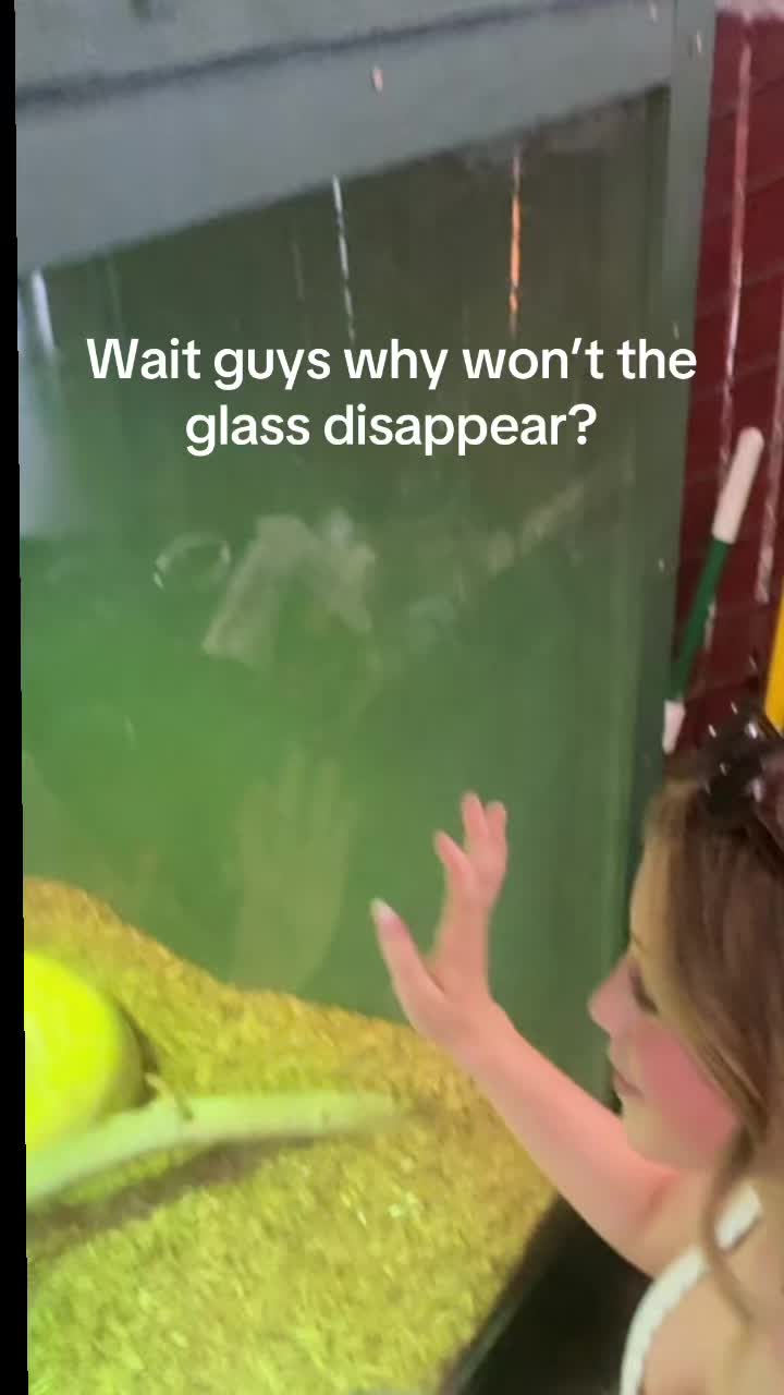 @cedricdiggorylover7