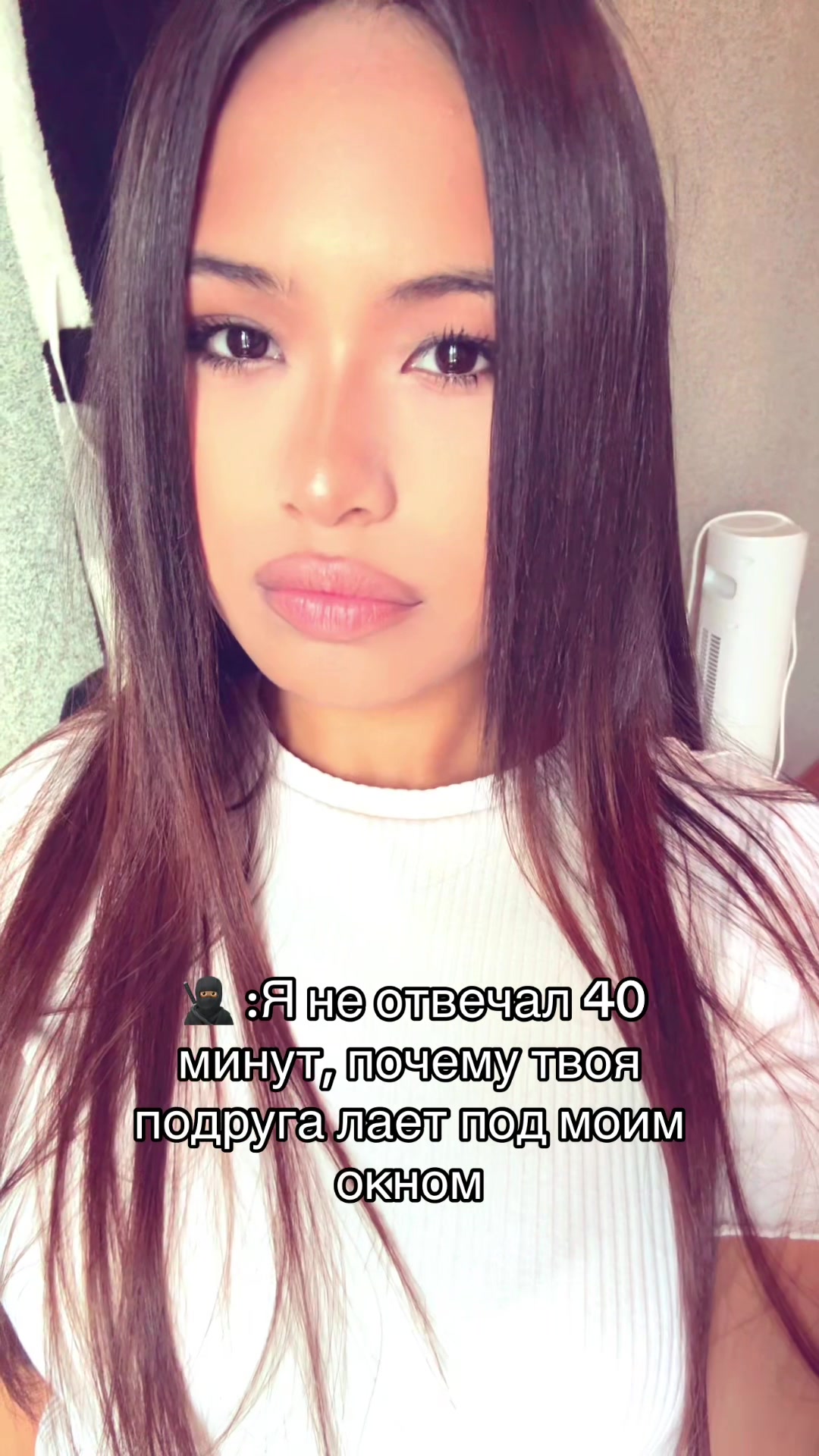 @dinacamon