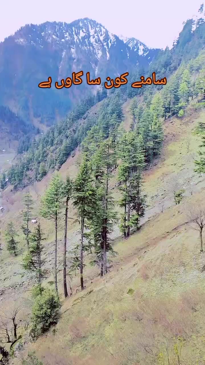 @kashmiri girl