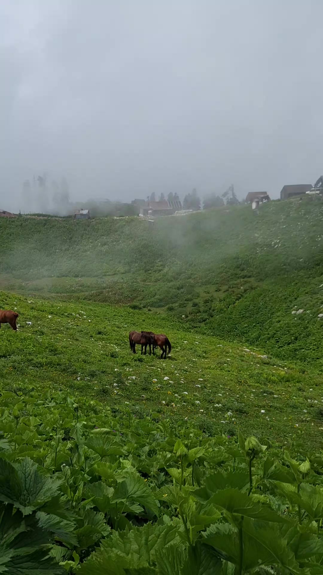 @Gulfiya Yusupova