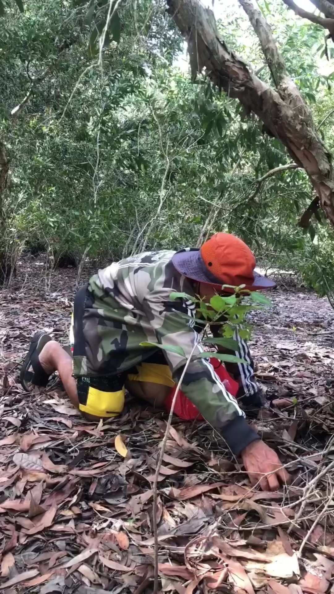 @ឥន្ទ្រីសលំហរវេហារ