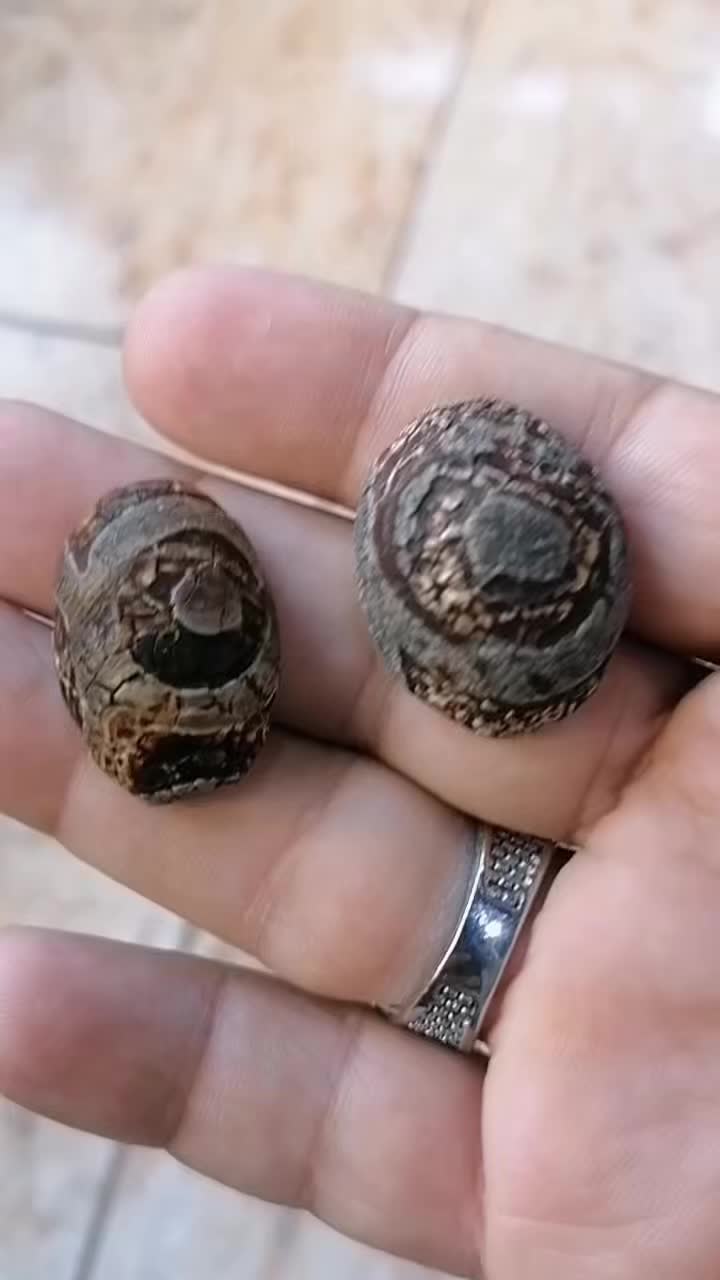 @doafalosta