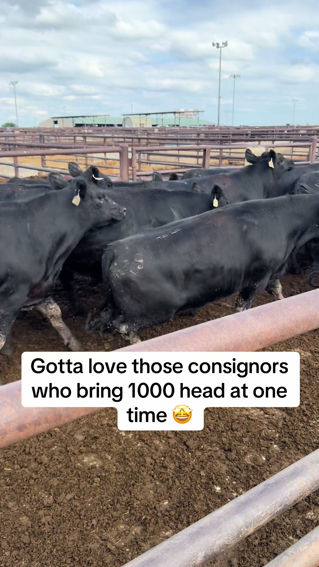@OKC West Livestock Market