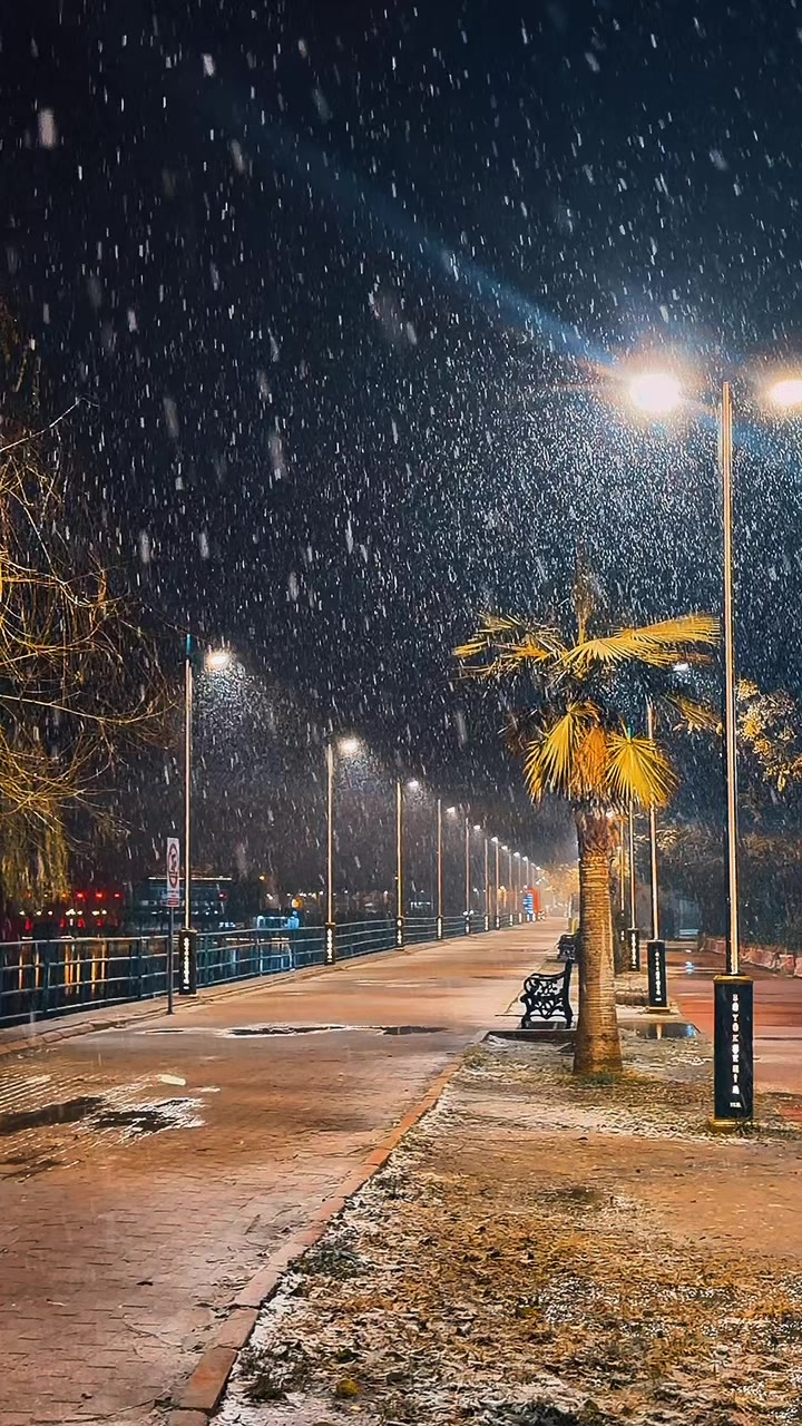 @Eşref Arıkan