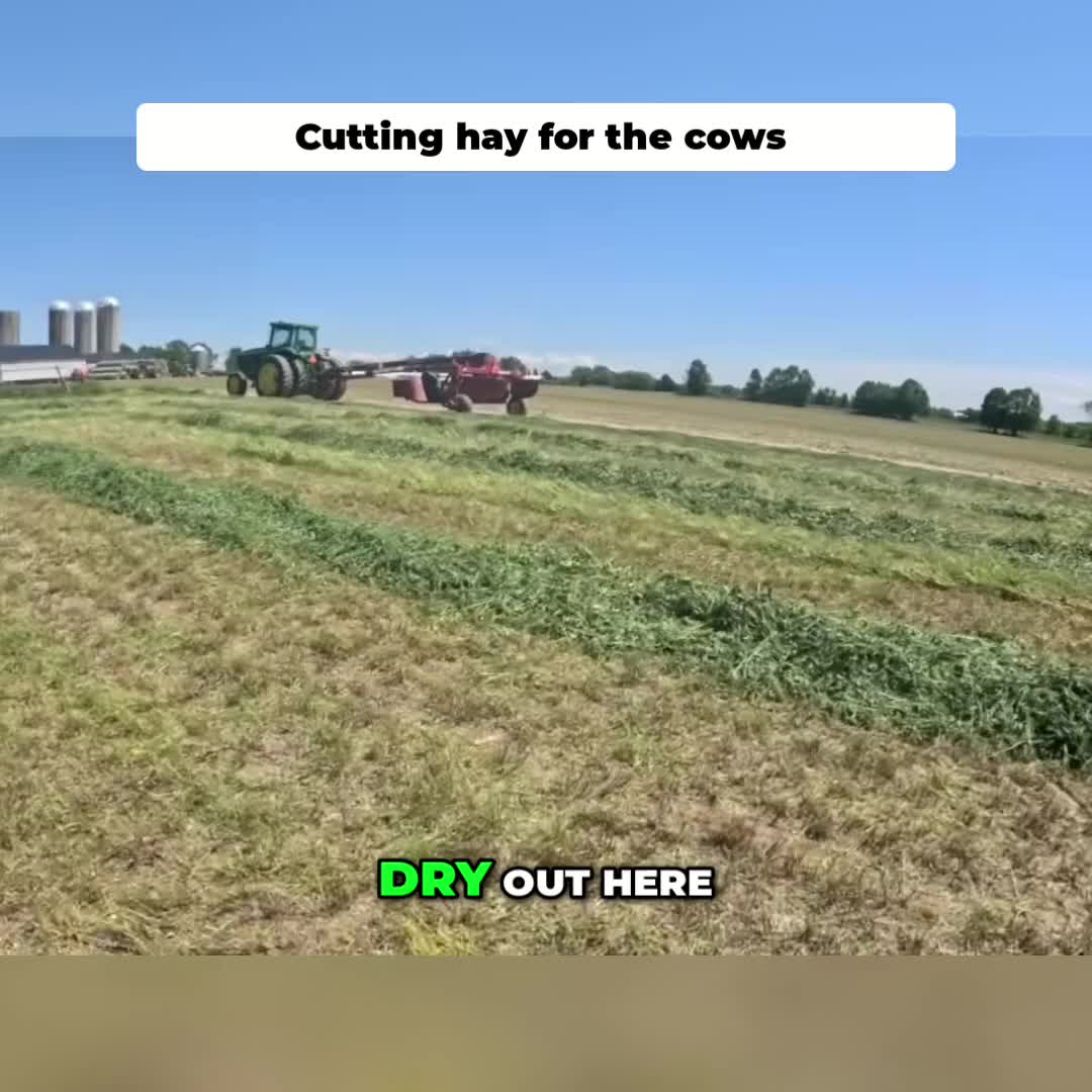 @Kip Siegler Farming