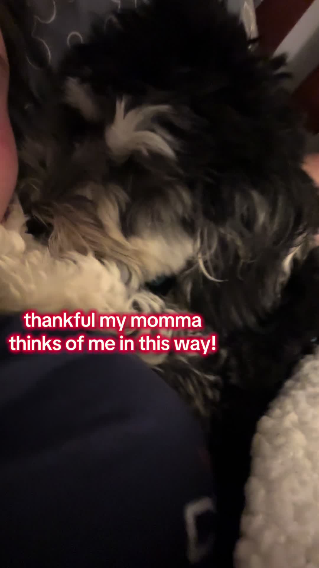 @louielookout
